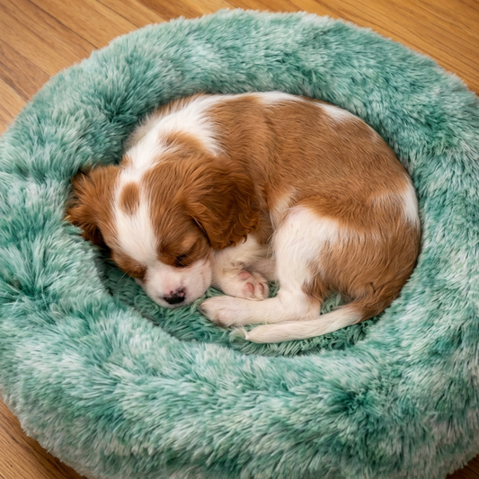 Plush Winter Dog Bed – Soft, Cosy & Warm Pet Sleeping Nest